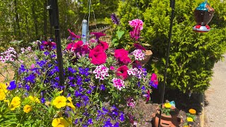 My pollinator garden for beekeeping!