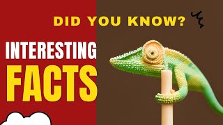 Rare Animal Facts Interesting Things In Nature Did You Know These Facts? Naturetrivia