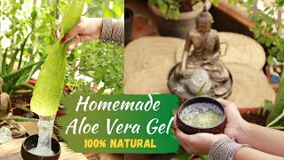 How To PROPERLY Extract Aloe Vera Gel | 100% नेचुरल एलो वेरा जेल बनाये घर पर | Sushmita's Diaries
