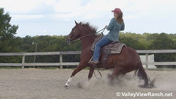 Peptos Stylin - LEAD changes, reining stops and spins! - ValleyViewRanch.net