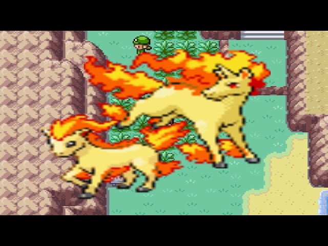 3] Shiny Ponyta in Fire Red! 11,451 REs. Found it almost a week