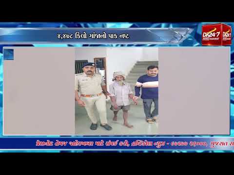 #bharuch | જંગલમાં ગાંજાની ખેતીનો પર્દાફાશ.| #drashtikonnews
