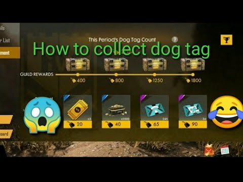 how-to-collect-dog-tag-in-free-fire||tips-and-trick-to-increase-dog-tag-easily-in-free-fire