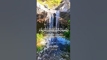 تلاوة خاشعة تريح القلب #elmulquranعلم #قران_كريم #تلاوة #المصحف #اكسبلور #لايك #trend #aslam