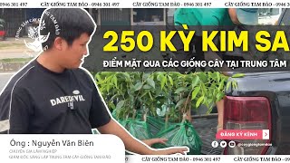 XUẤT 250 KỲ KIM SA l ĐIỂM MẶT QUA CÁC GIỐNG CÂY TẠI TRUNG TÂM