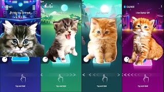 Cute Cats Lady Gaga - Bloody Mary Vs Believer Vs Skibidi Dom Vs Wednesday Dance Tiles Hop Edm Rush