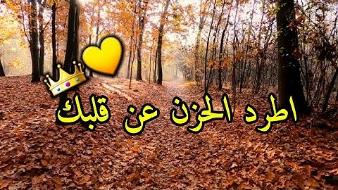 اجمل حالات واتساب تلاوه قرآن كريم جميل جدا💛💫 ارح قلبك😢(حالات2022)