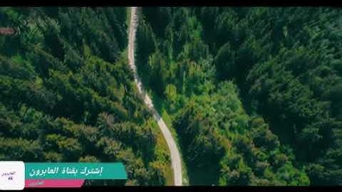 سورة الفجر بصوت القارئ هشام الهراز