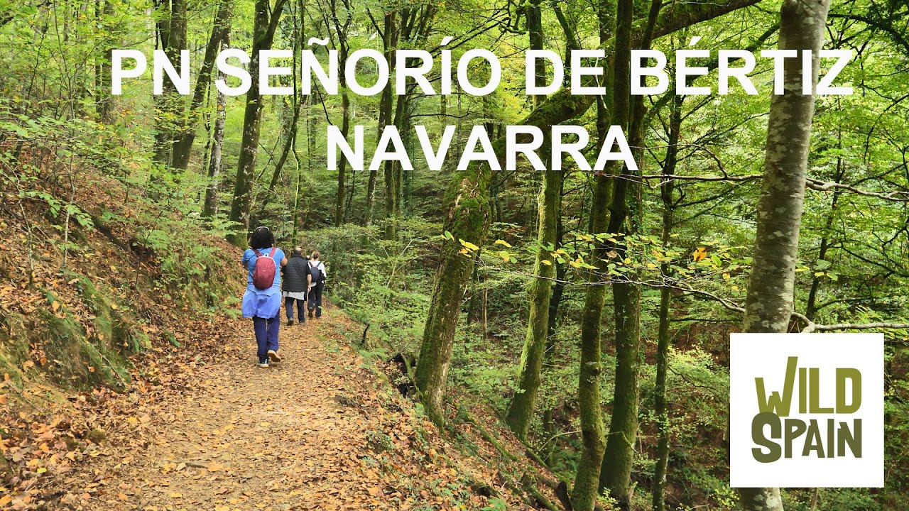Wild Spain - Capítulo 188 - Parque Natural Señorío de Bértiz, Navarra.