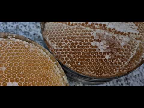 أفضل محلات بيع العسل الطبيعي الأصلي بالرياض السعودية