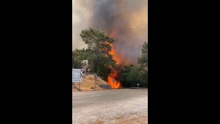 Пожар в Турции. Пожар в Турунче | Turunc Fire 30 июля 2021 года