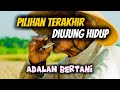 Kenapa Harus Menunggu Pensiun untuk Jadi Petani?”
