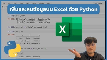 จัดการข้อมูลใน Excel File ด้วย Python