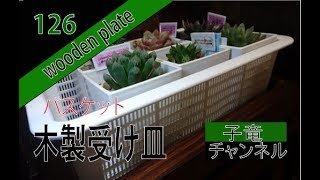 多肉植物用バスケット　木製受け皿　(DIY)
