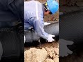 Amazing Construction Skills: Perfect Pipe Laying #shorts