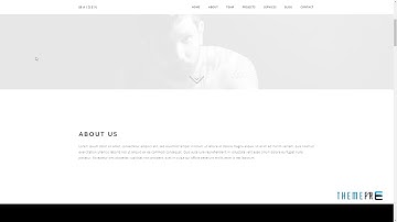 Maiden - Responsive One Page Portfolio WordPress Theme     Ridley Ale