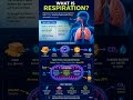 What is Respiration? | Complete Explanation | Biology Basics