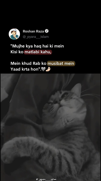 Line 🥹❤️‍🩹🌺#islam  #ramadan#sad#status#shorts#story#alhamdulillah#viral#views#youtube#video#quotes