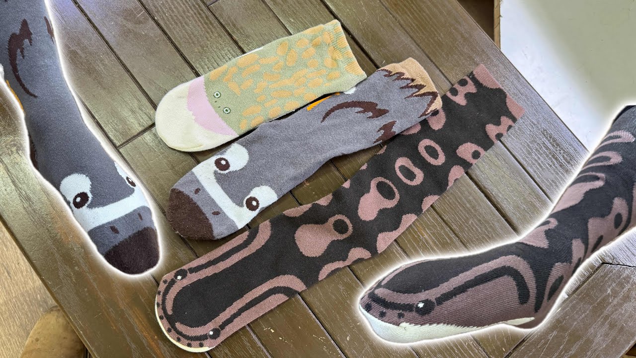 見取り図 ディスカバリーチャンネル 靴下 Original socks that turn you into a snake or a frog - YouTube