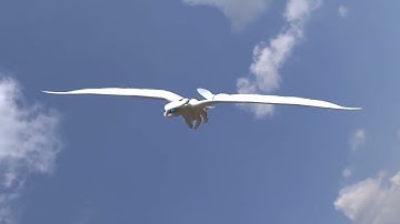 The Light Fury Appears | Blender 3D Animation