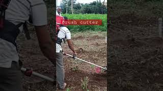 Brush Cutter - 4 stroke farm viral agriculture agritech video trending farm farmer farming