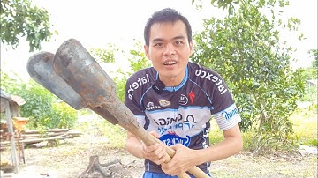 Cây Đào Trụ Điện, Đào Cột, Đào Trụ Rào..v...v..dạng cạp không cần muỗng dừa, chén để múc.