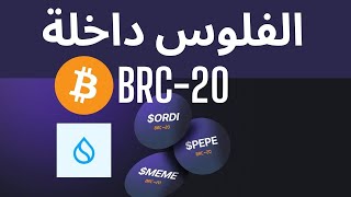 ORDINALS BRC20 ON BITCOIN فرصة ربح المال