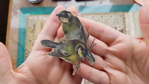 Gusset envelope folio part 5