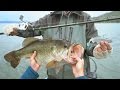 Fishing for Trophy Bass in Northern California! - NEW PB (Powered by LTB) | DALLMYD