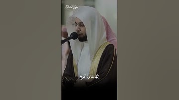 تلاوة مؤثرة من سورة الصافات | أنس الميمان