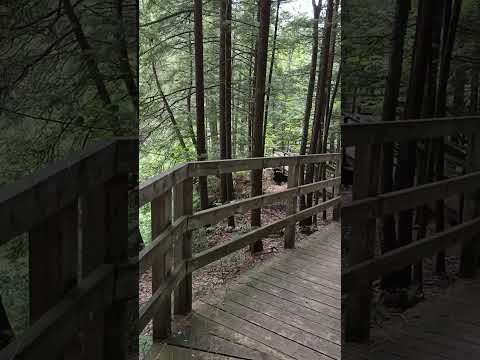Parc des Chutes de Sainte Ursule