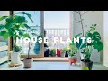 【植物と暮らす理由】House plants | 春を迎える準備 | Reasons to live with plants | Preparing for spring