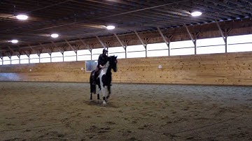 Ringo Lesson - Canter Haunches In