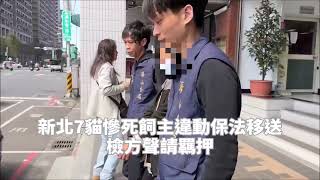 新北7貓慘死飼主違動保法移送 檢方聲請羈押