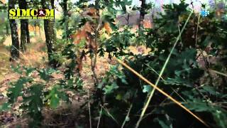 SIMCOM Simulaciones de Combates