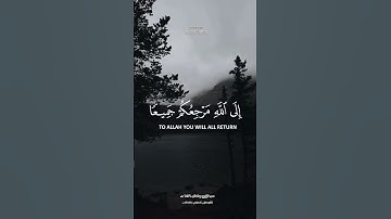 #قرآن #shortvideo #مقطع_قران #quran #تلاوات #ramadan #اكسبلور #islam_video #ستوريات_قرآن #islam