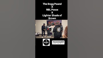 Thumbnail of Lighter Shade of Brown x The Dogg Pound