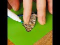 The most amazing rescue ever! She saved a butterfly and repaired its wing! 🦋