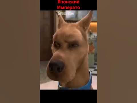 Фнаф Фильм Уильям Афтон - YouTube