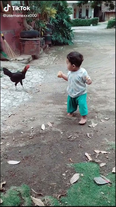 Ayam Usil Tik-Tok - Meow-Meow Friends