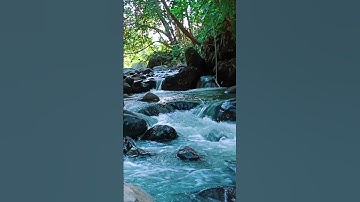 Suara Air Sungai #Shorts #ASMR #nature #sungai #SuaraSungai