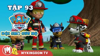 ĐỘI CHÓ CỨU HỘ PAW PATROL MINI | Tập 93