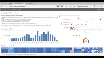Finding Insights with Qlik in Insurance