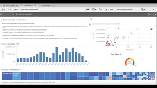 Finding Insights with Qlik in Insurance
