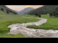 Wandering the Juniper Forests of Central Asia