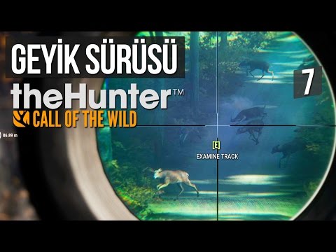 Geyik Sürüsü - theHunter: COTW Multiplayer Hirschfelden Haritası 7. Bölüm