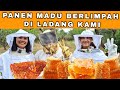 MADU MELIMPAH RUAH DI LADANG KAMI. RELA DI SENGAT LEBAH DEMI MADU