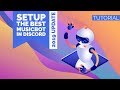 The Best Discord Music Bot - YouTube