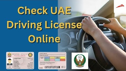 How to Check UAE Driving License Online: Step-by-Step Guide