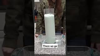 Elephant Toothpaste Reaction using hair developer and active dry yeast